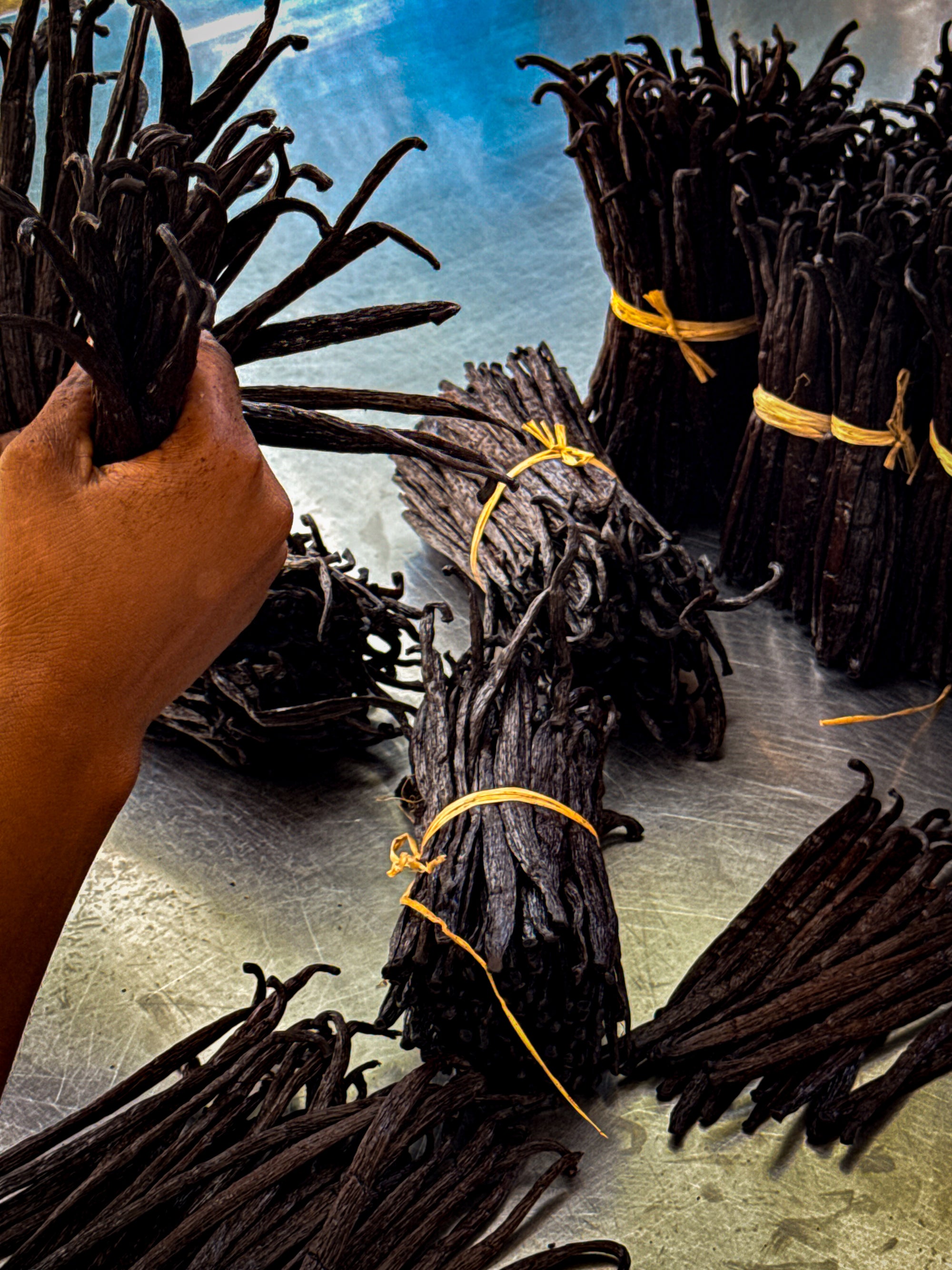 gousse de vanille de Madagascar - 250g - 12/14cm